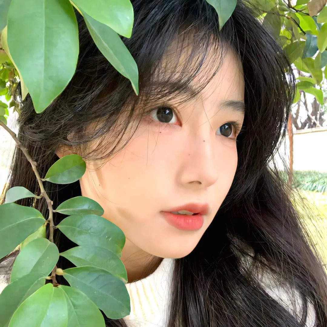 苹果2020 封面